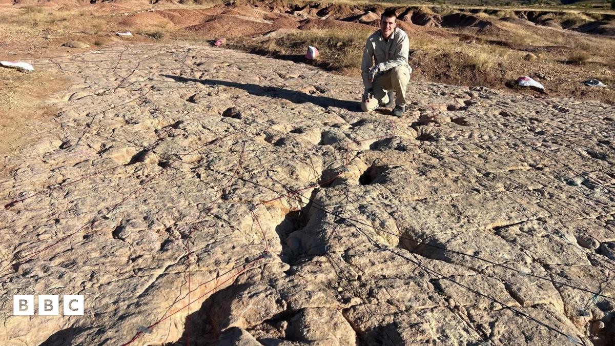 Highest number of dino footprints in one place found in Bolivia