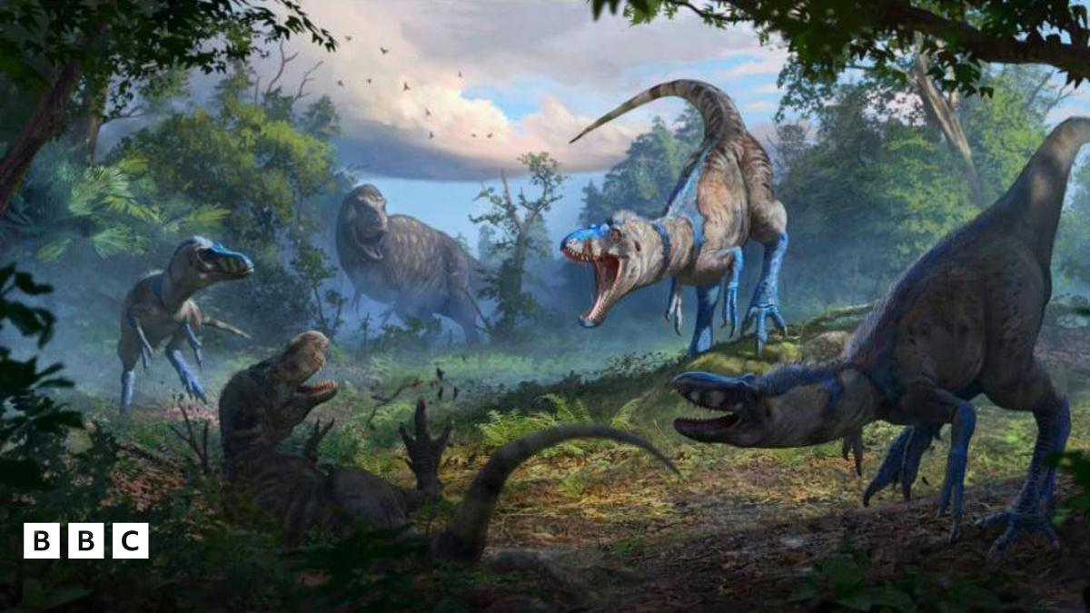 Experts discover new tyrannosaur species in America