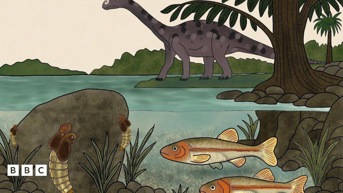 Ancient fly fossil in Australia reveals clues to Earth's past