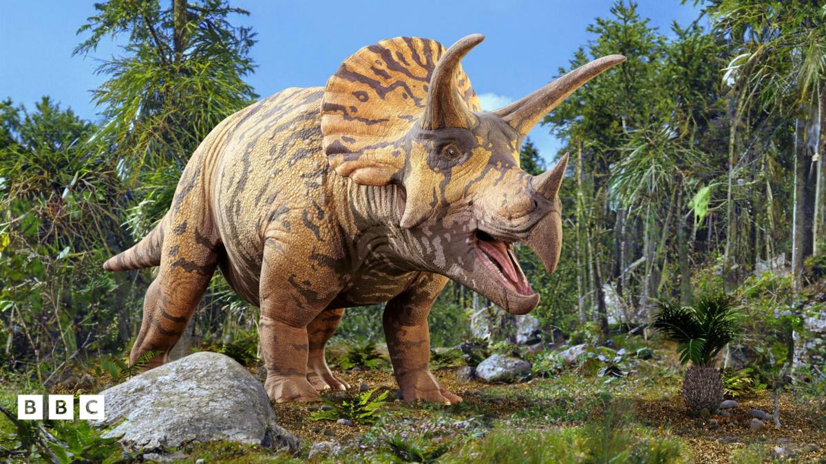 Triceratops lived in Europe millions of years ago, scientists