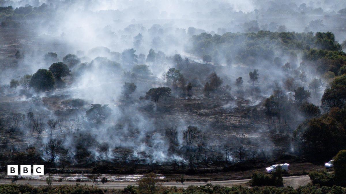 Dégâts causés par les incendies à Dunwich Heath