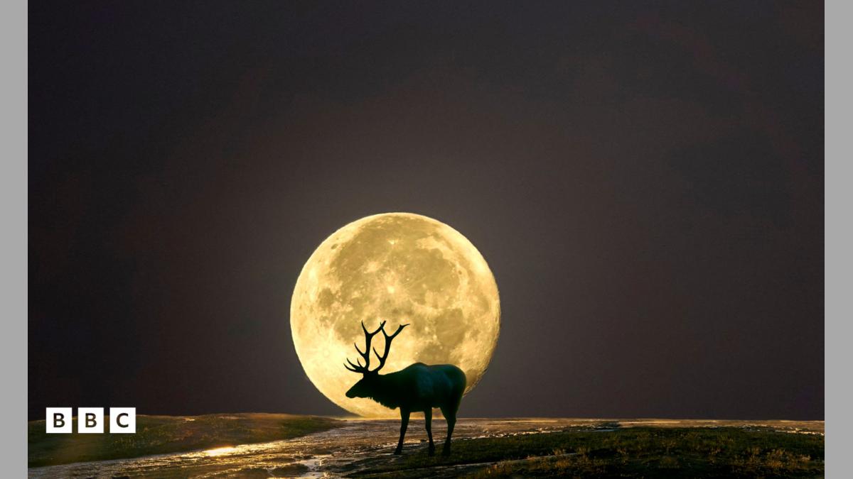 July's 'Buck Moon': The World's Most Beautiful Views