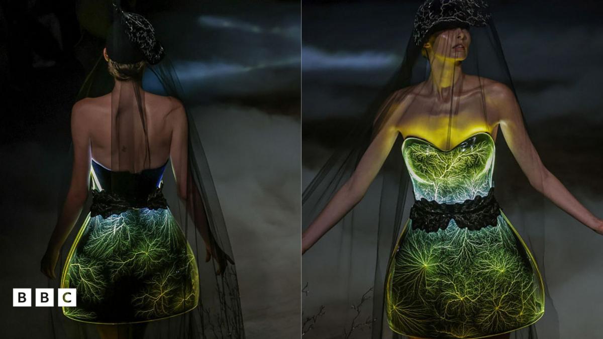 Les tenues les plus incroyables et les plus folles de la mode