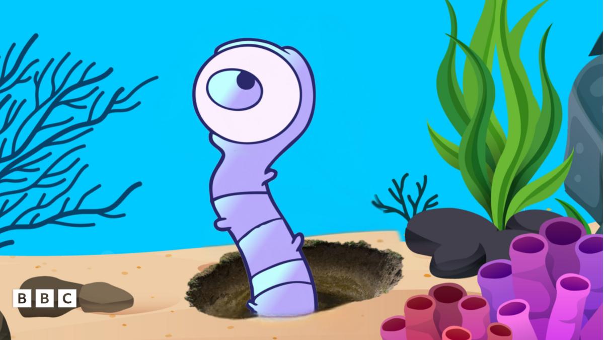 The Secret Shared by Human Eyes and a Primitive Worm