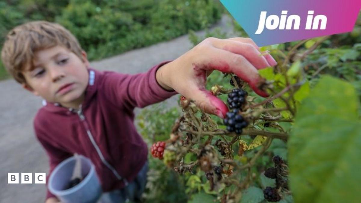 Лето - время собирать фрукты!