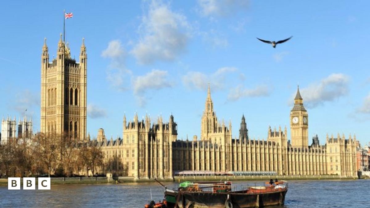 Differences between the House of Lords and House of Commons - BBC Newsround