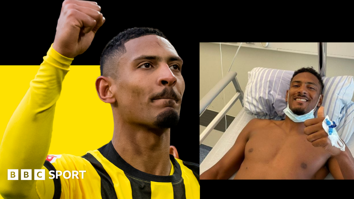 _128628096_haller.png