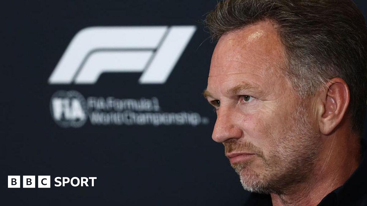 Horner complainant back working in F1