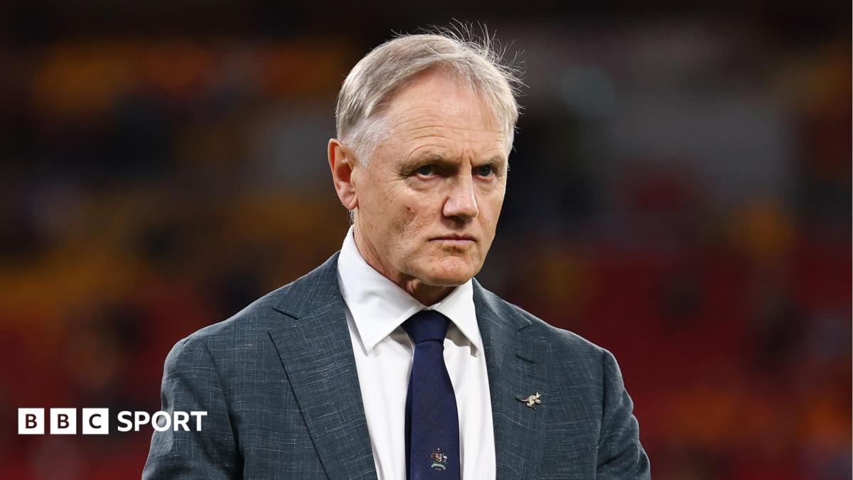 Schmidt to work with Ulster coaches