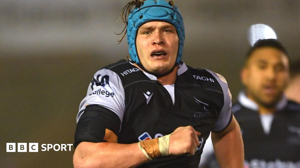 Connor Collett: Newcastle Falcons flanker signs contract extension ...