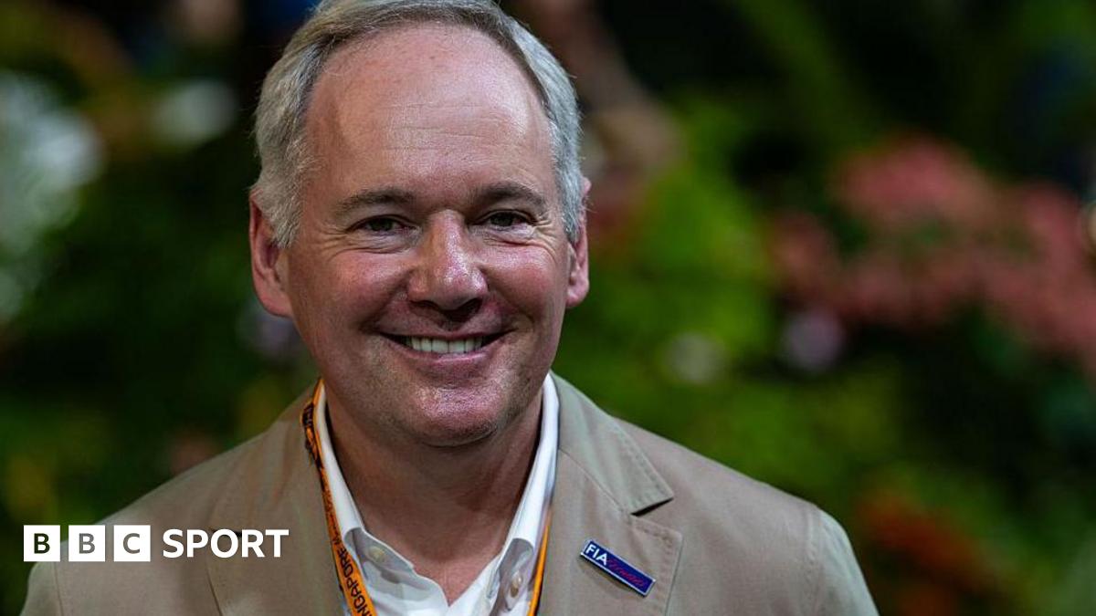 Mayer abandons FIA presidency campaign