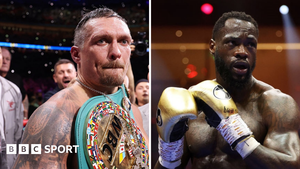 I want to fight Wilder next - Usyk