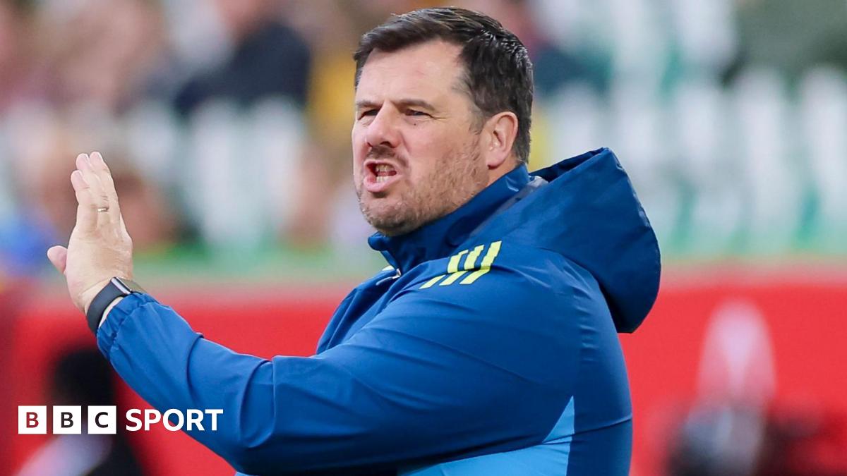 Northern Ireland 'should dream' of World Cup - McArdle