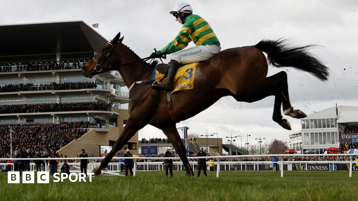 Fact To File claims impressive Cheltenham triumph