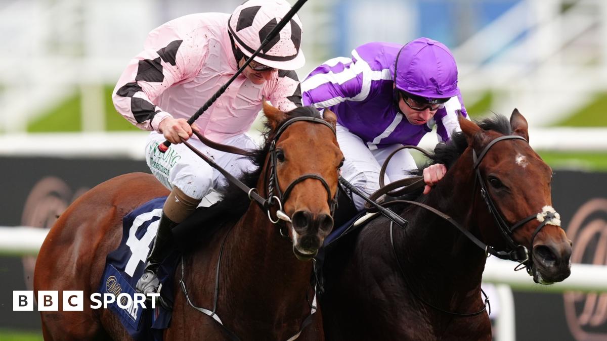 57725e00-93a3-11ef-9504-