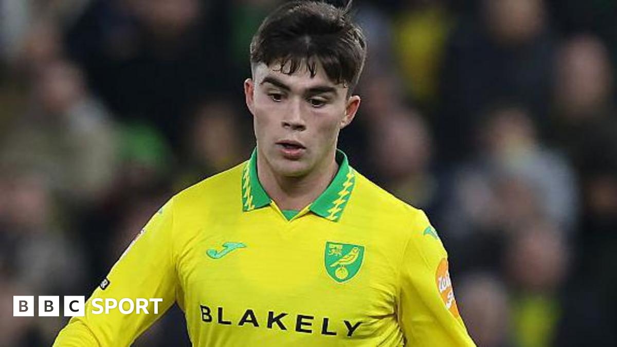 हैरी अमास: नॉर्विच ऋणी को ‘गंभीर’ प्रशिक्षण चोट लगी है