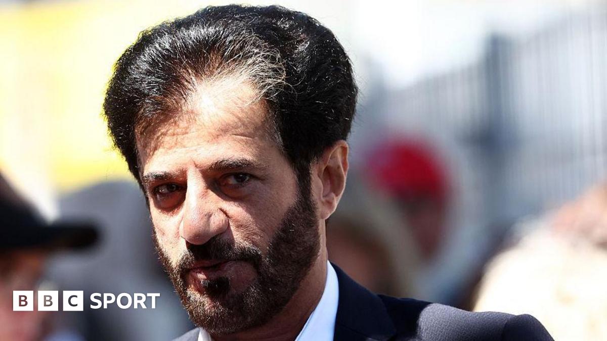 Ben Sulayem removes Britain's FIA Senate representative