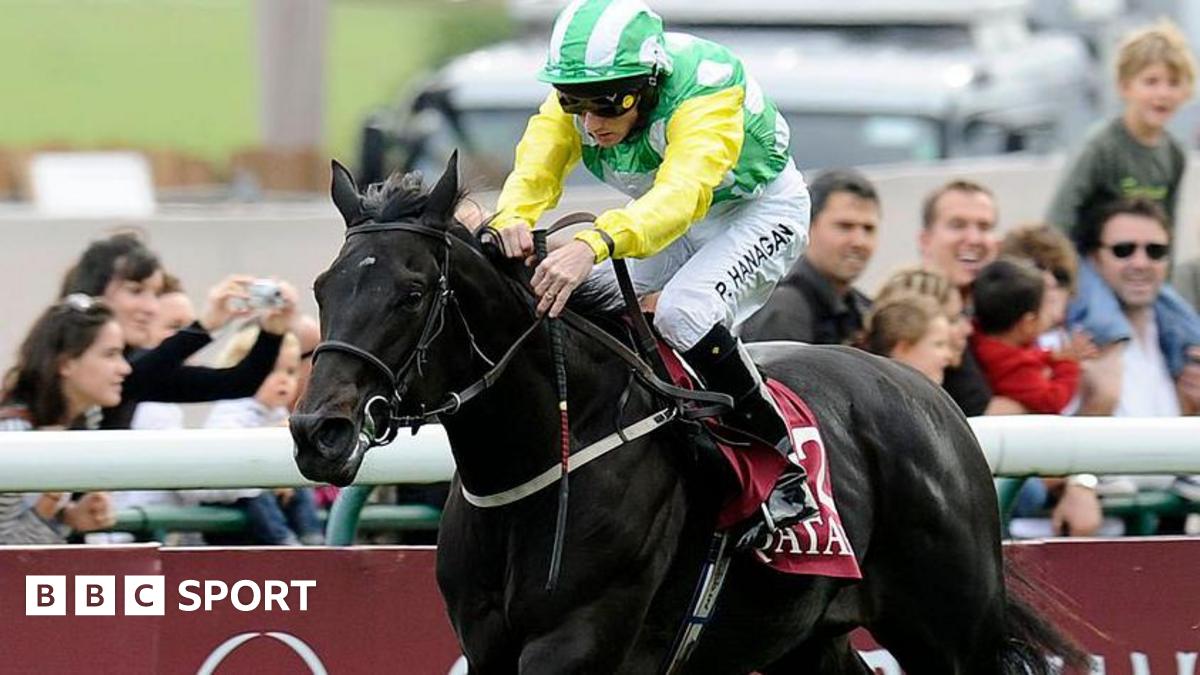 Leading stallion Wootton Bassett dies aged 17