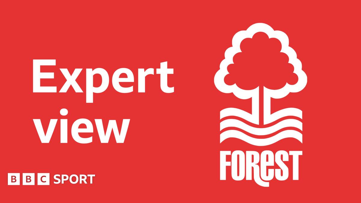 Nottingham Forest news: Opinion - Colin Fray on how to remember 2024-25 season