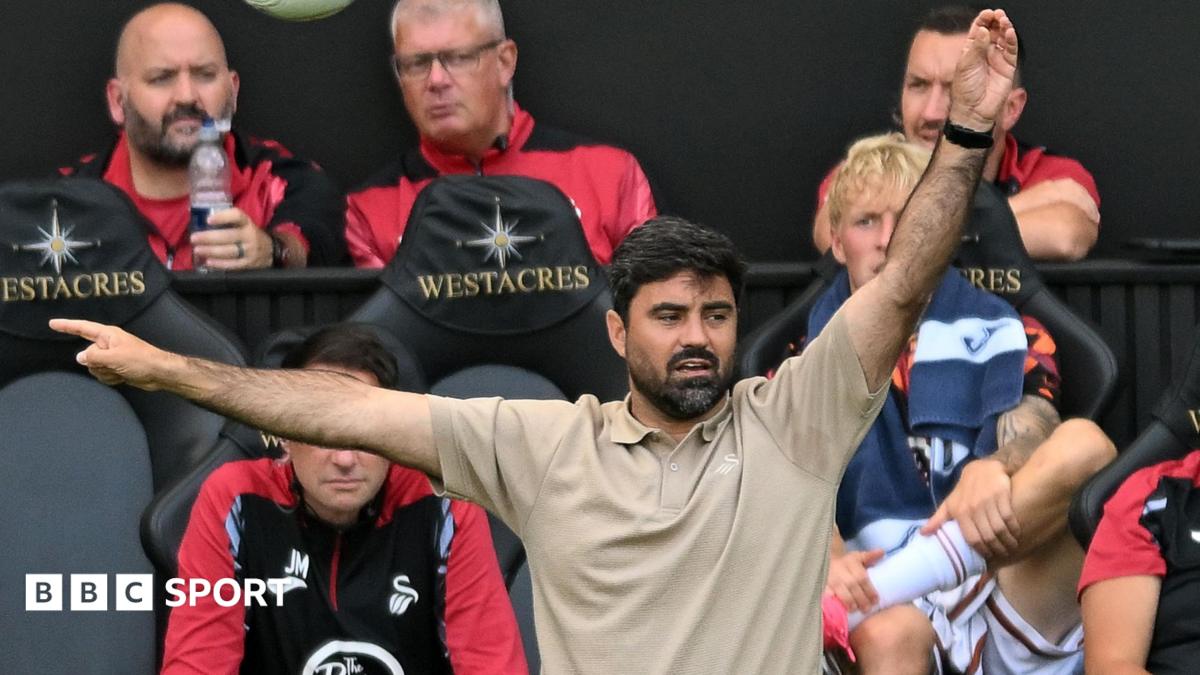 Premier League always the goal - Swans boss Matos