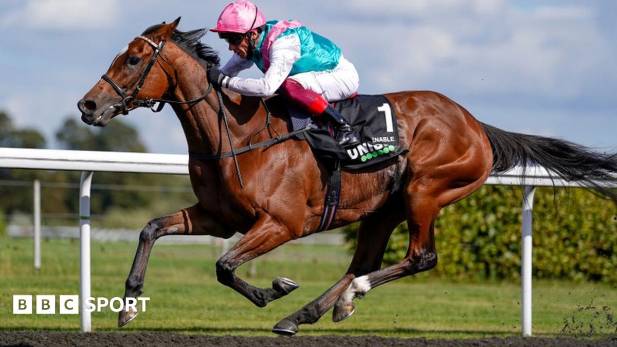 Enable Wins At Kempton In Final Race On British Soil BBC Sport enable-wins-at-kempton-in-final-race-on-british-soil-bbc-sport