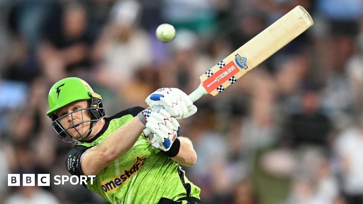 Big Bash League: Billings and Overton in team of the tournament