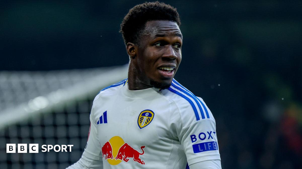 Leeds United: Daniel Farke should turn to Willy Gnonto for goals – opinion