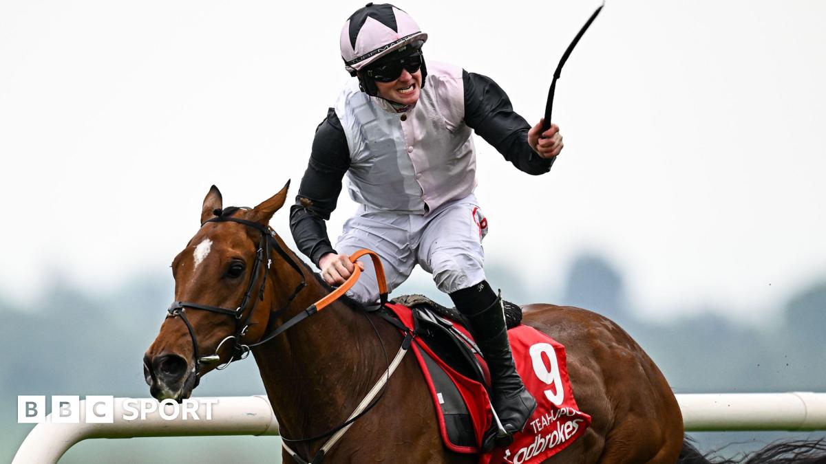 Teahupoo Defends Crown in Champion Stayers Hurdle at Punchestown
