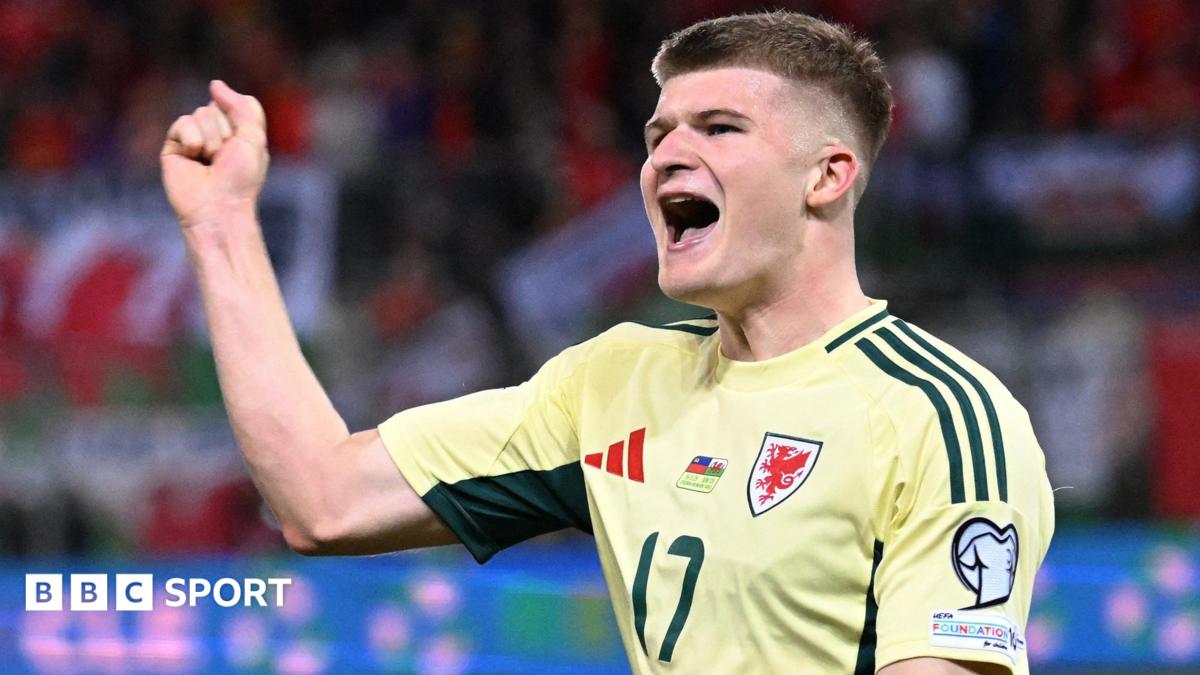 Wolves sign Wales midfielder Jordan James on loan