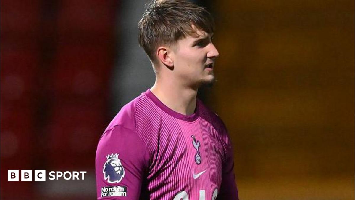 Luca Gunter: Tottenham goalkeeper joins Boreham Wood on loan - BBC