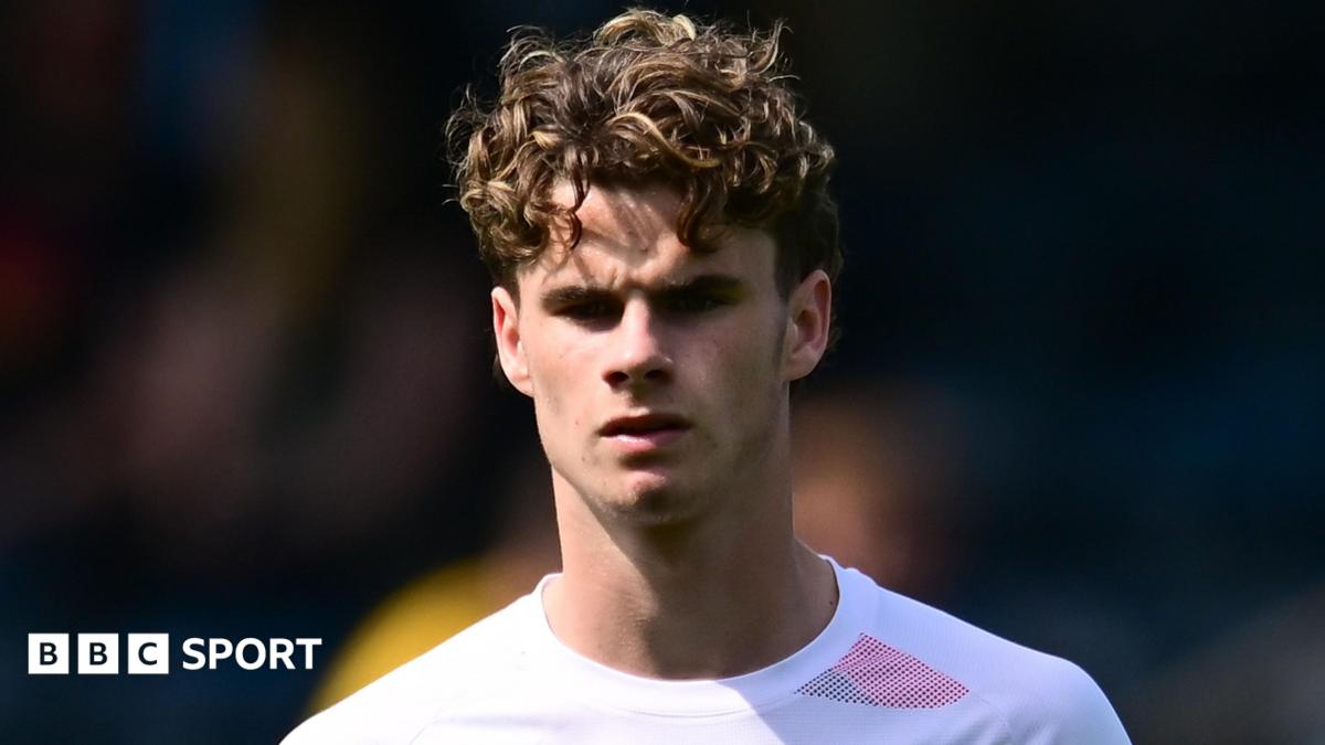 Harry Gray: ‘Sheffield Wednesday could be perfect launchpad’   BBC