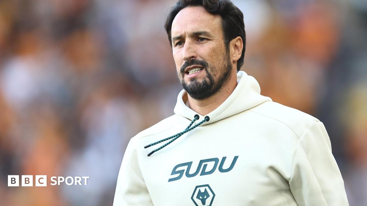 Cesar Peixoto Embraces Promotion Pressure as Wolves Head Coach