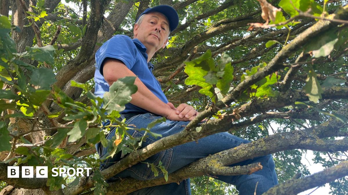 Banned fan cheers on non-league team from tree