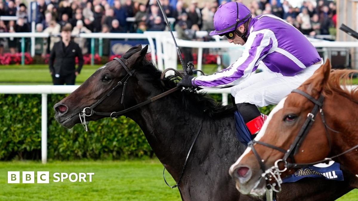 Futurity Trophy Stakes: Hawk Mountain dá a O’Brienn uma 12ª vitória recorde Futurity Trophy Stakes: Hawk Mountain dá a O’Brienn uma 12ª vitória recorde