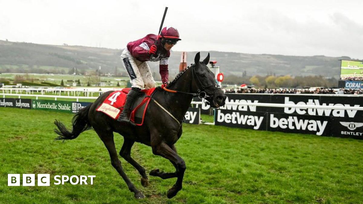 Delta Work: Cheltenham winner dies aged 12