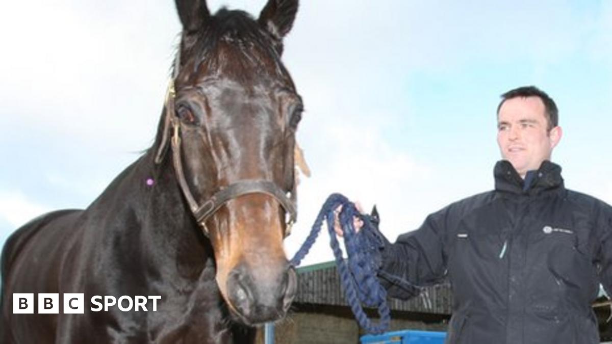 Captivating Horse Trainer Evan Williams Jailed For Three Years After Assault Photo in 4K Captivating Horse Trainer Evan Williams Jailed For Three Years After Assault Photo in 4K