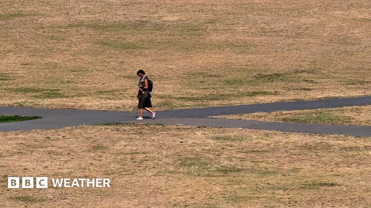 Heatwave to intensify in second week as wildfires burn across UK