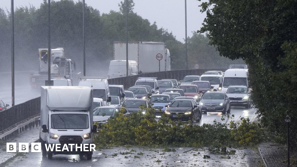 Christmas travel: Risk of disruption as UK weather warnings issued