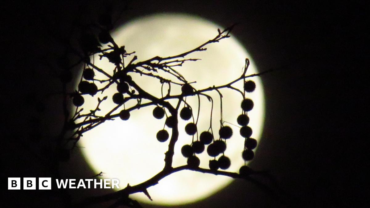 Image for Tonight's full Cold Moon is the last supermoon of 2025 - here's how to get a glimpse