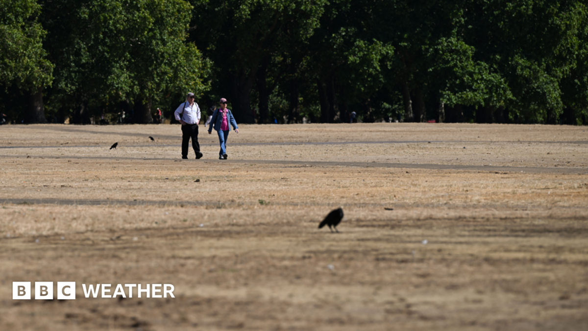 Brief relief ahead of fifth heatwave - as more areas could move into drought