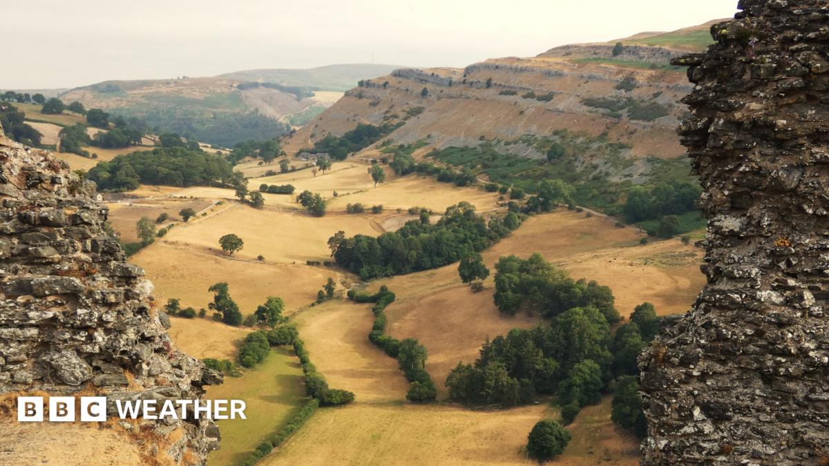 Weather Bristol: Rain likely overnight Sunday, Met says