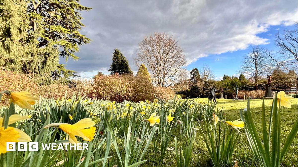 UK weather: Spring-like warmth ahead with temperatures up to 18C ...