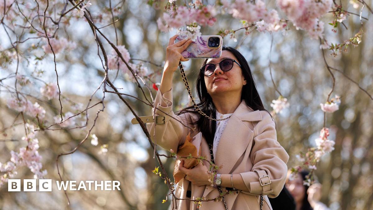UK weather: Temperatures reach 21C in warmest day of year so far