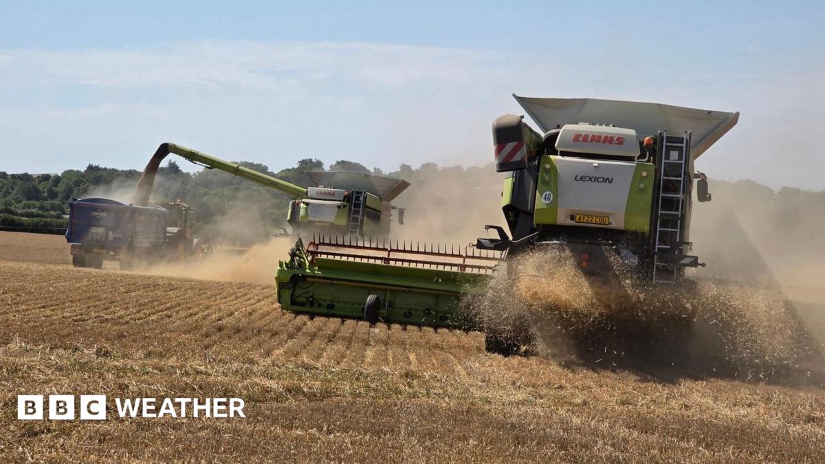 No significant rain forecast for at least a week as UK heatwave continues