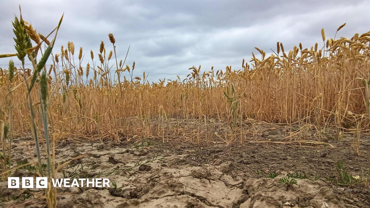 Driest July on record for England and Wales