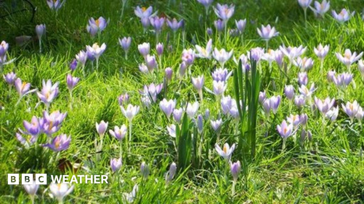 On the road to spring? - BBC Weather