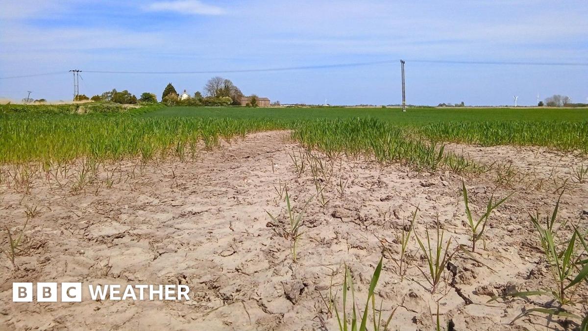 Is the UK heading for another drought this summer?