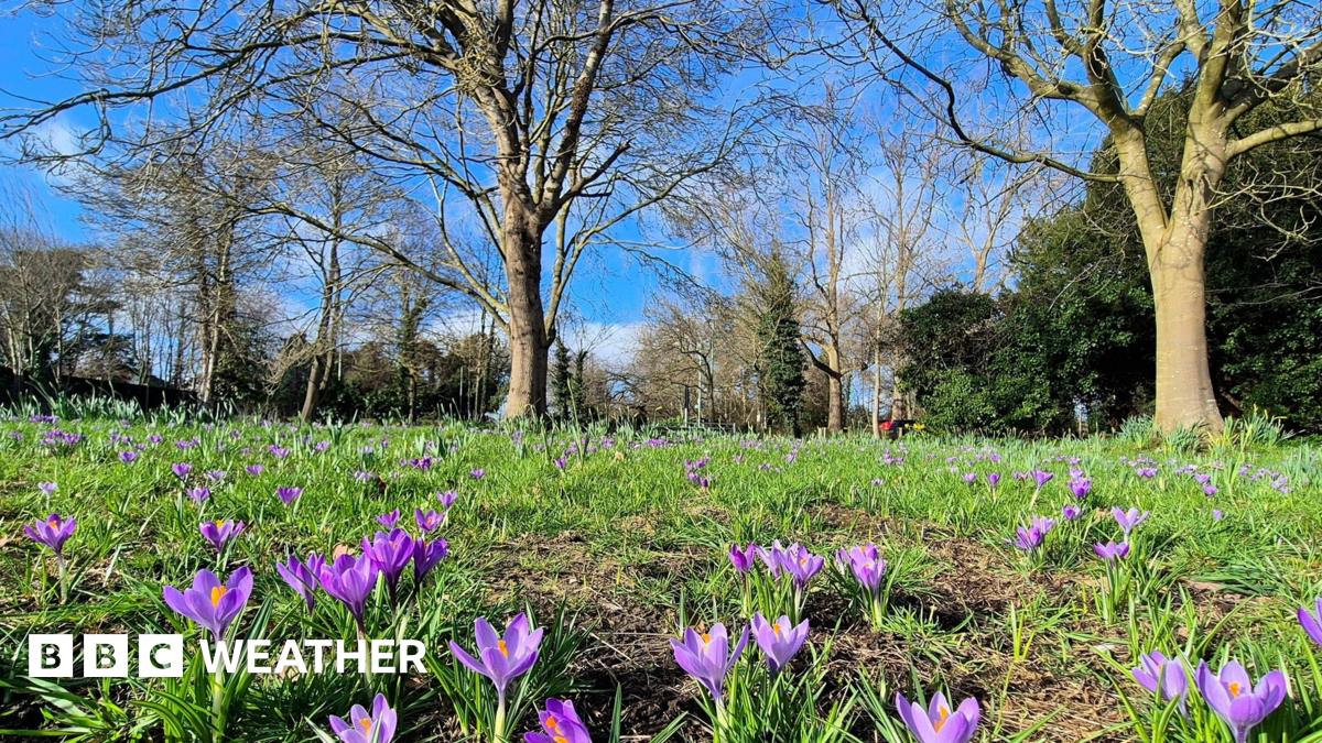 UK records 18.5C on warmest day of the year
