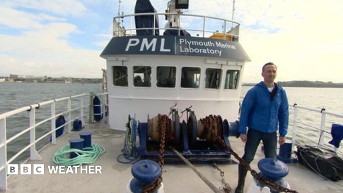 weather-world-returns-bbc-weather