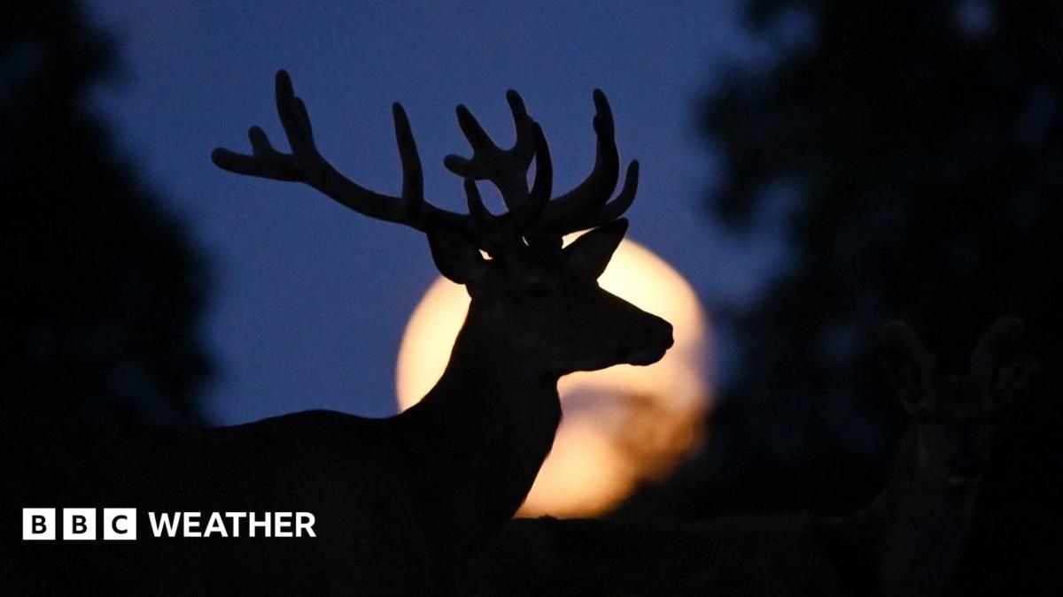 How to see July's full Buck Moon as it rises in the night sky